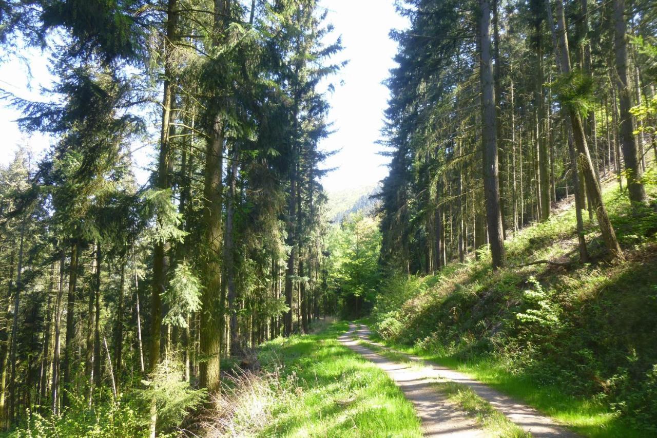 Moselschiefer Neu Ab Mai 2023 Lejlighed Traben-Trarbach Eksteriør billede